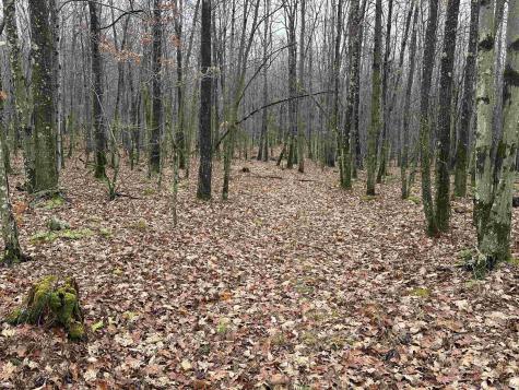 23247 N Preston Highway Bruceton Mills WV 26525