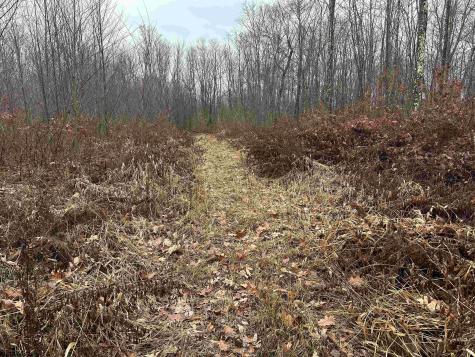 23247 N Preston Highway Bruceton Mills WV 26525