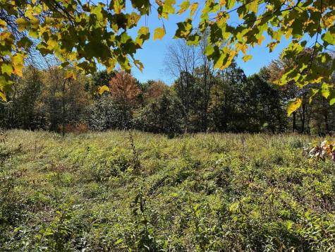 23247 N Preston Highway Bruceton Mills WV 26525