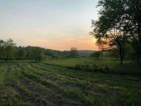 23247 N Preston Highway Bruceton Mills WV 26525