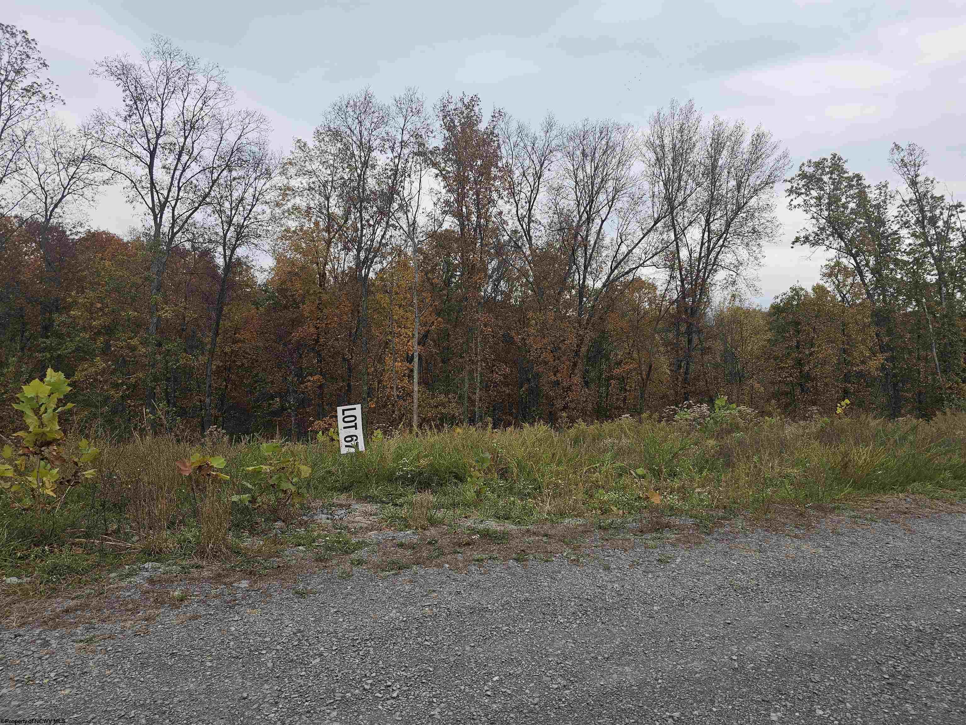 67 Turquoise Way Bridgeport WV 26330