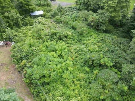 TBD Highwood Lane Quinwood WV 25958