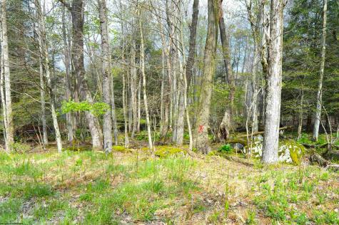 103 Arbutus Court Terra Alta WV 26764