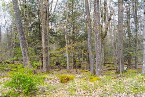 103 Arbutus Court Terra Alta WV 26764