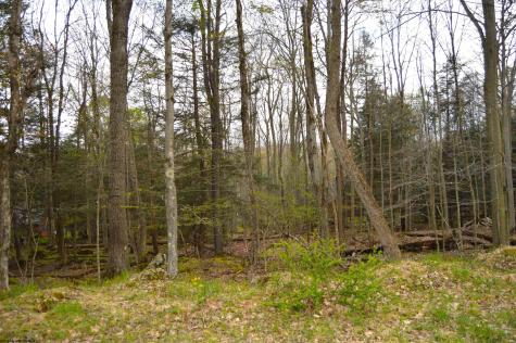 103 Arbutus Court Terra Alta WV 26764