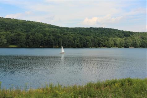 103 Arbutus Court Terra Alta WV 26764
