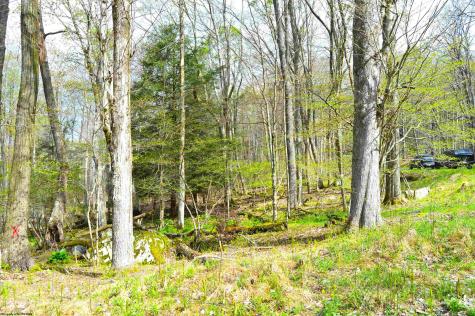 103 Arbutus Court Terra Alta WV 26764