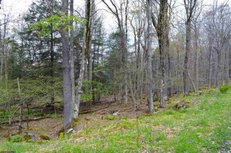 103 Arbutus Court Terra Alta WV 26764