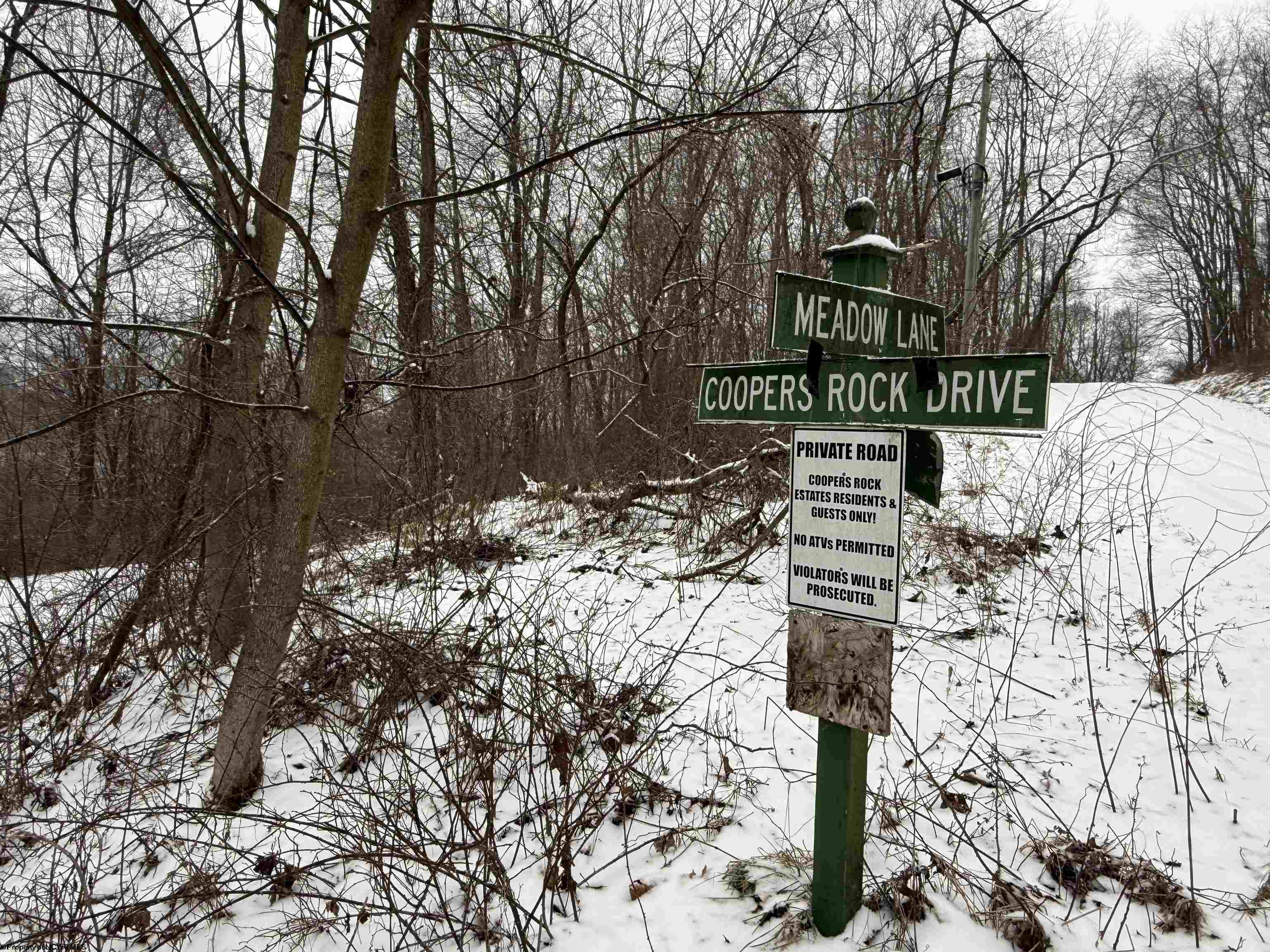 22 Cooper Rock Drive Bruceton Mills WV 26525