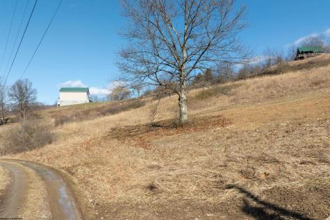 0 Phillips Pike Grafton WV 26354