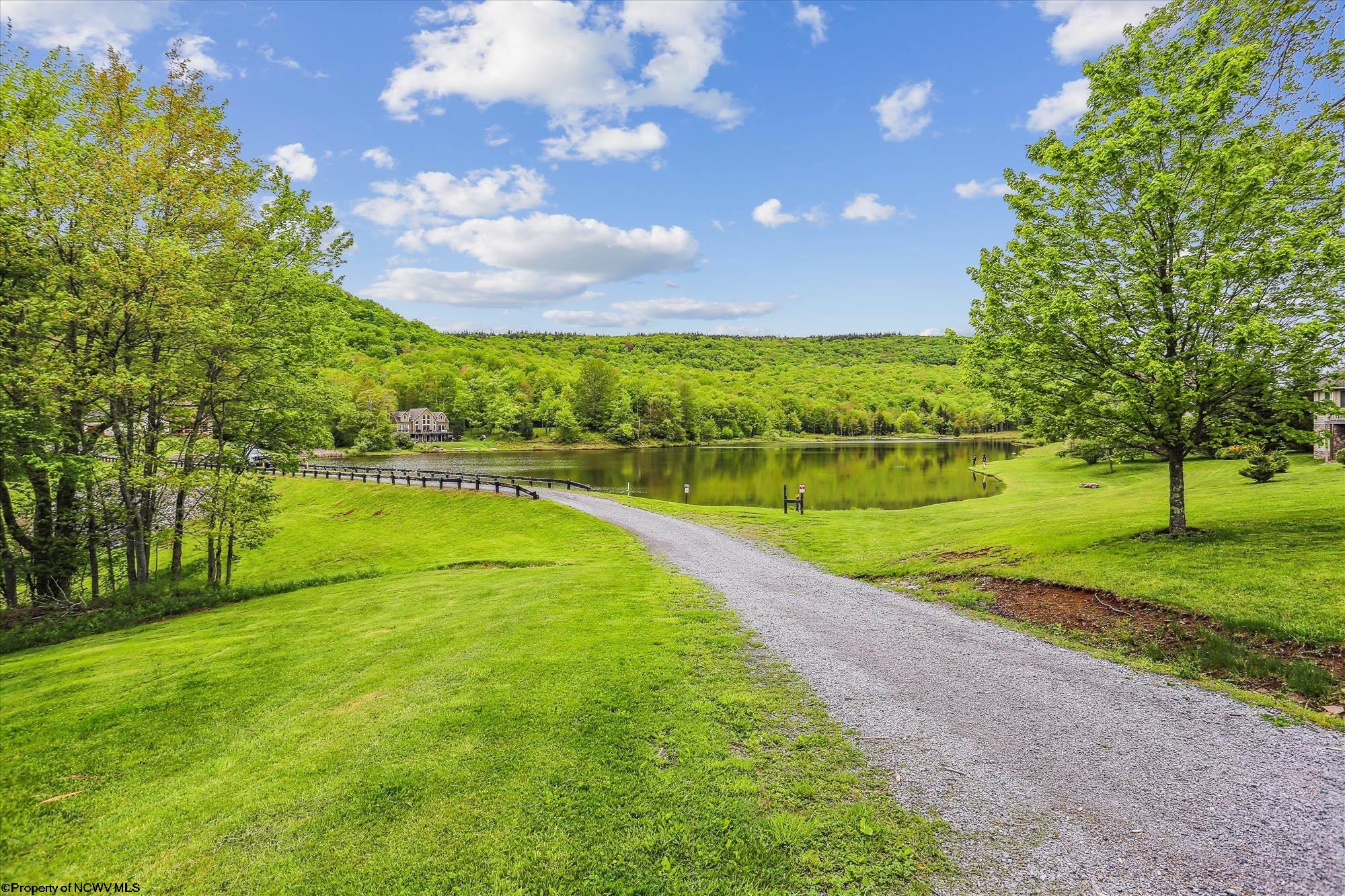 59 View Ridge Drive Davis WV 26260