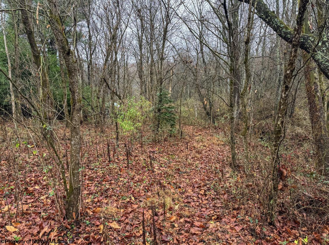 0 Washington Street Fairview WV 26570