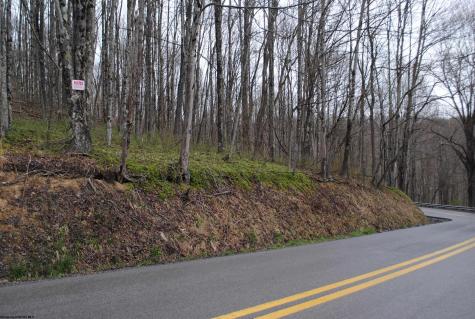 Parcel B Union Road Philippi WV 26416