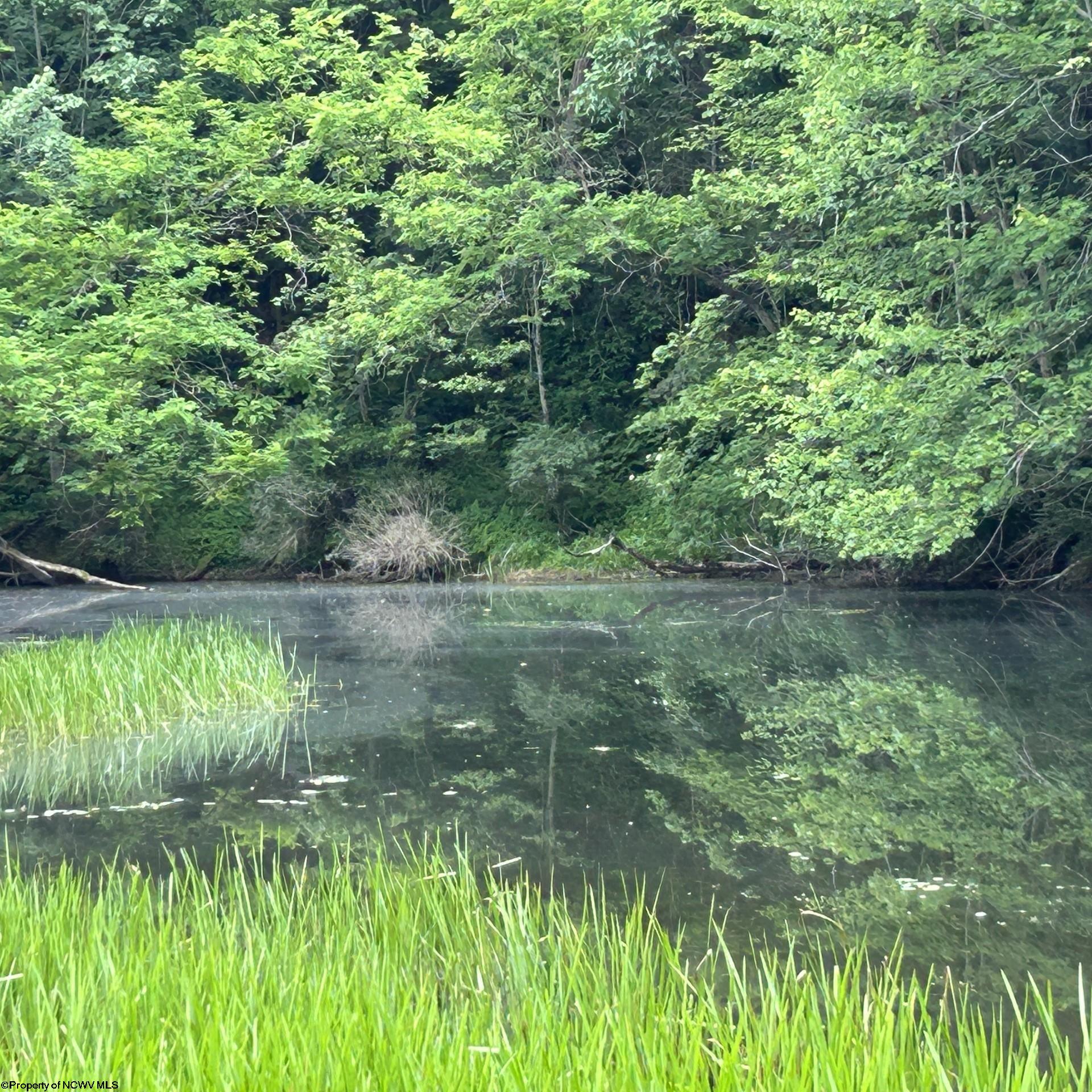 1328 Moyers Road Bruceton Mills WV 26525