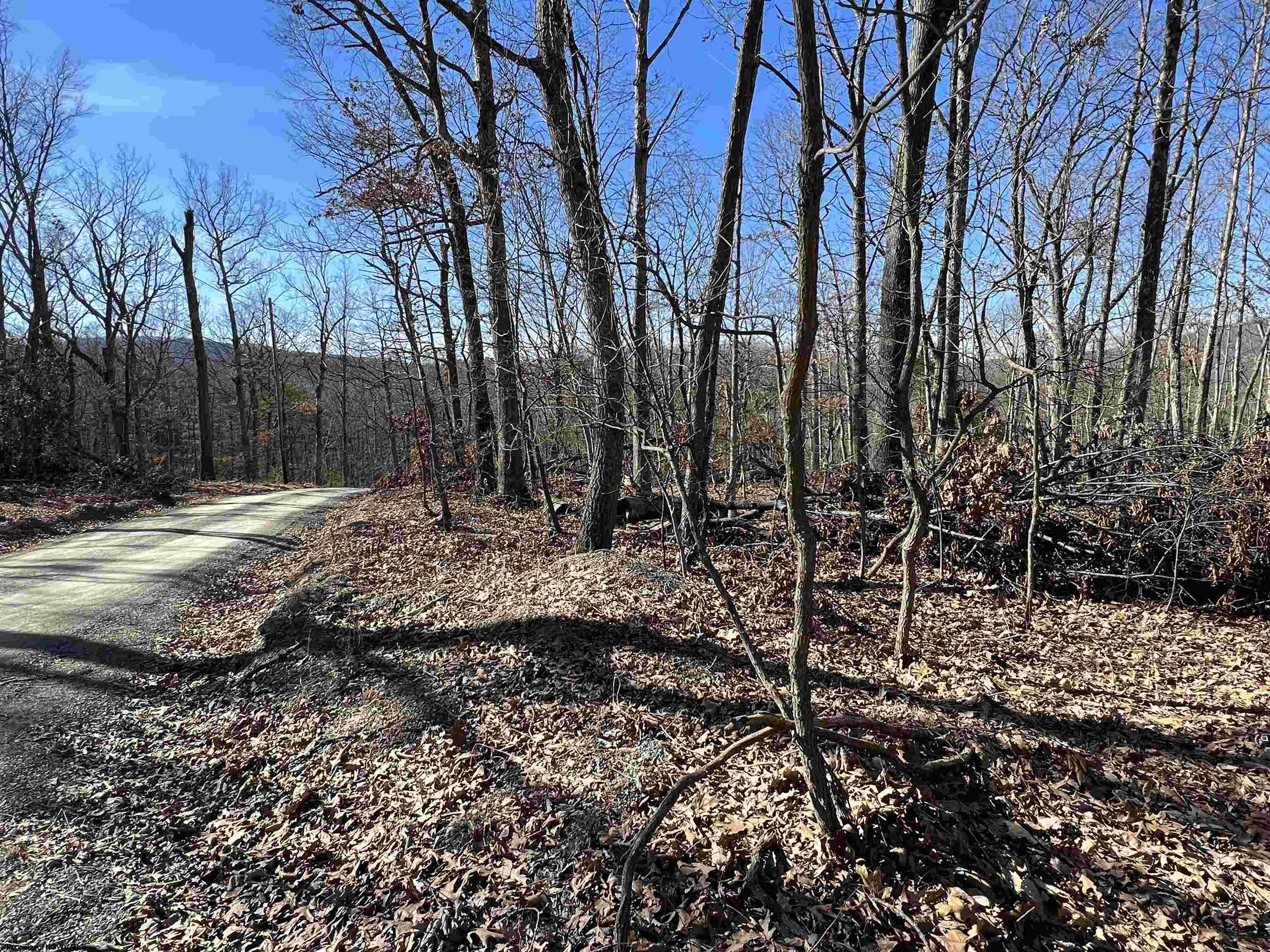 0 Oak Hill Drive Springfield WV 26711