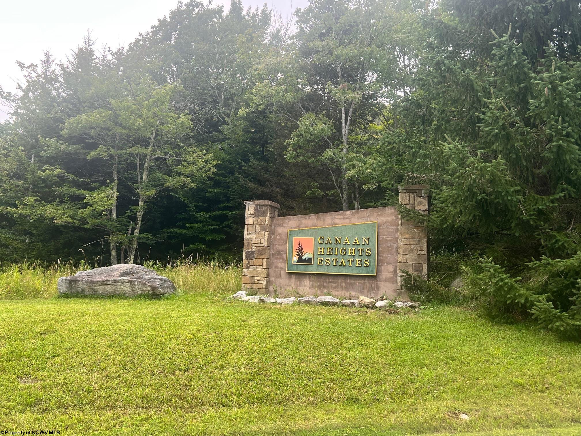 8 Canaan Heights Estates Road Davis WV 26260