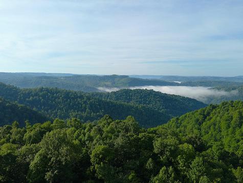 TBD Calvert Shaver Road Rowlesburg WV 26425