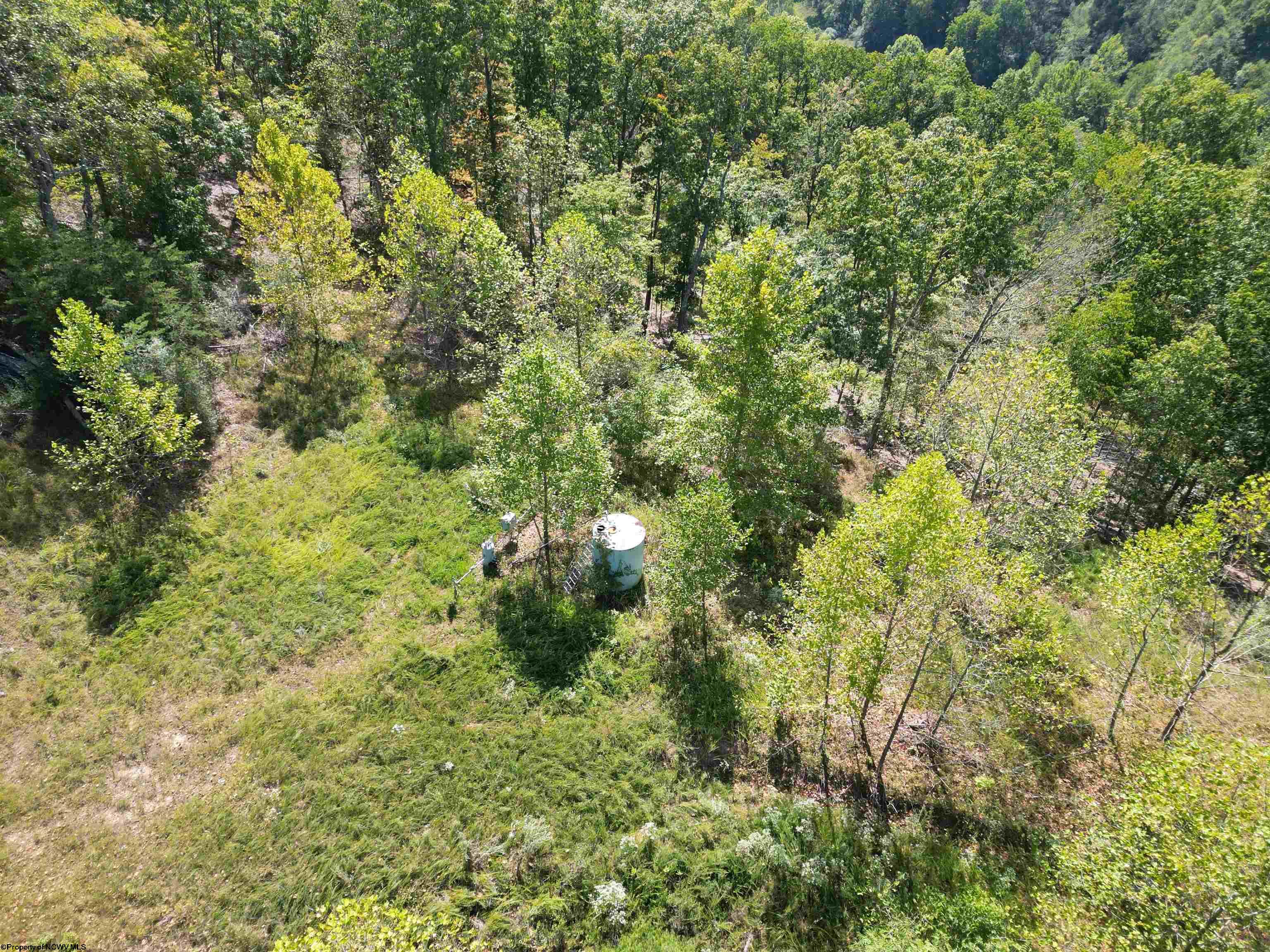 3219 Copen Road Copen WV 26615