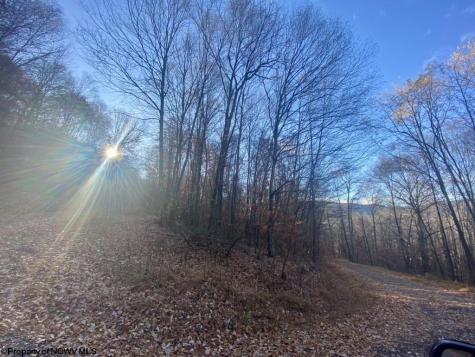 3 Stone Camp Ridge Dryfork WV 26263