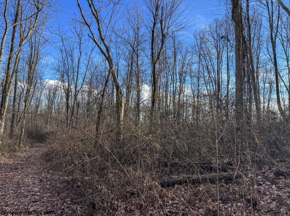 0 Keller Hill Road Belington WV 26250