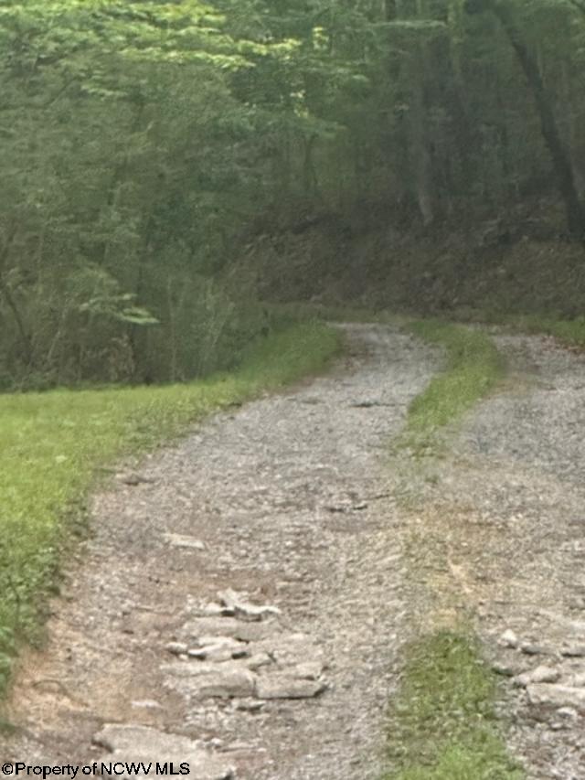 0 Creed Isner Road Kerens WV 26276