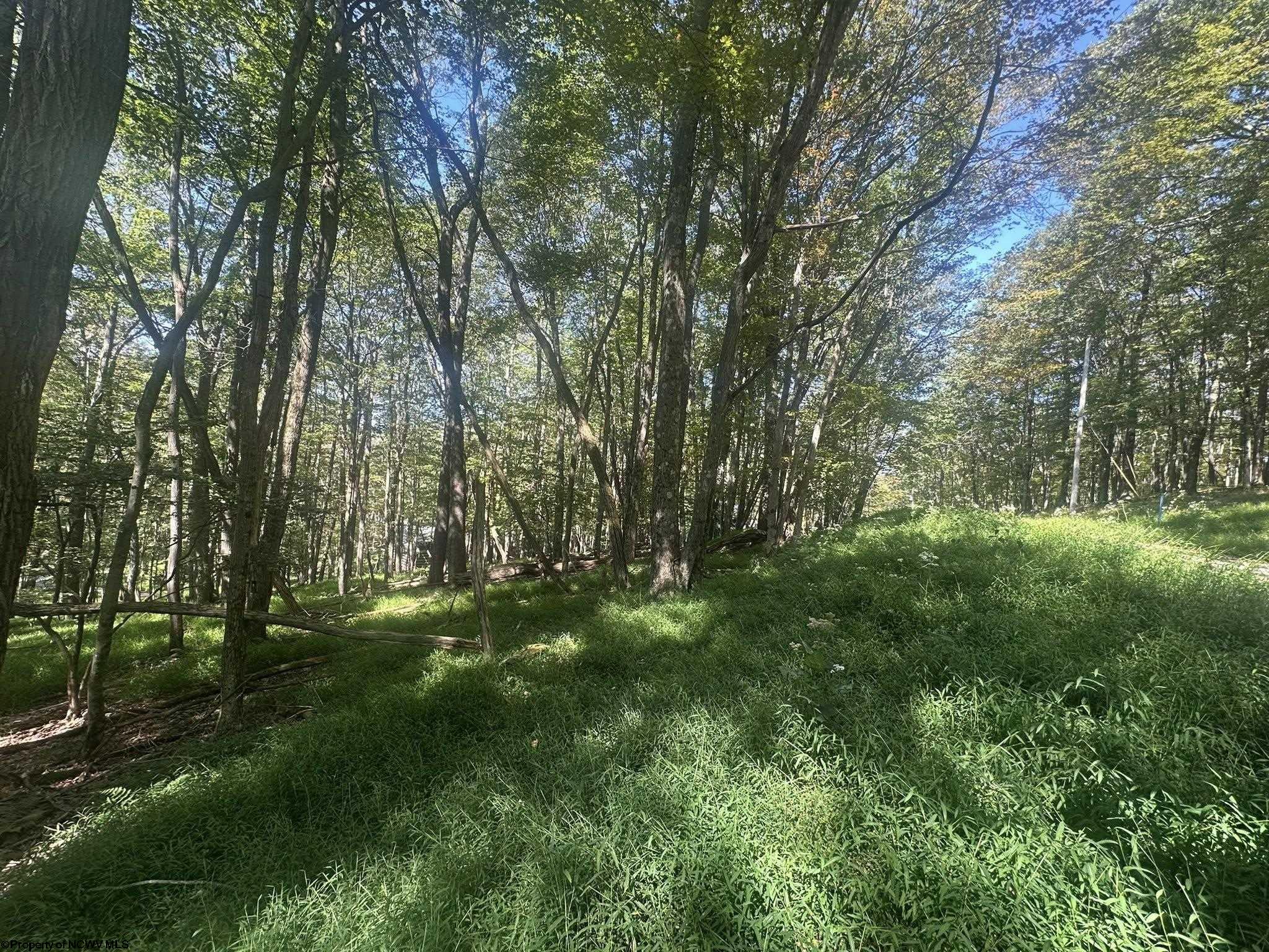 68 Clover Drive Terra Alta WV 26764