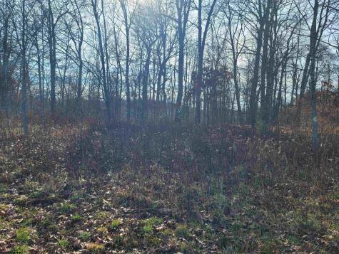 13 Sand Bank Road Masontown WV 26542