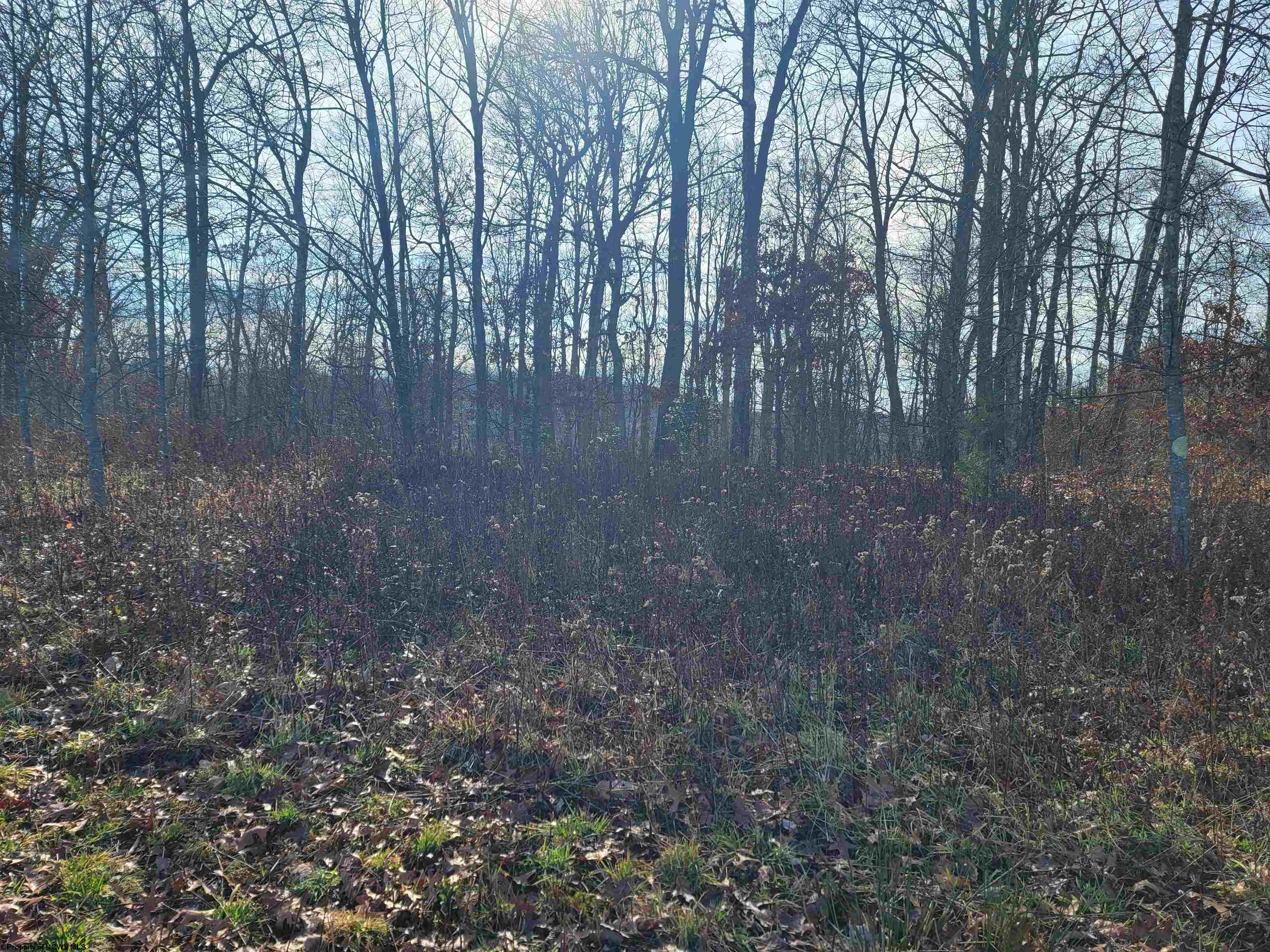 13 Sand Bank Road Masontown WV 26542