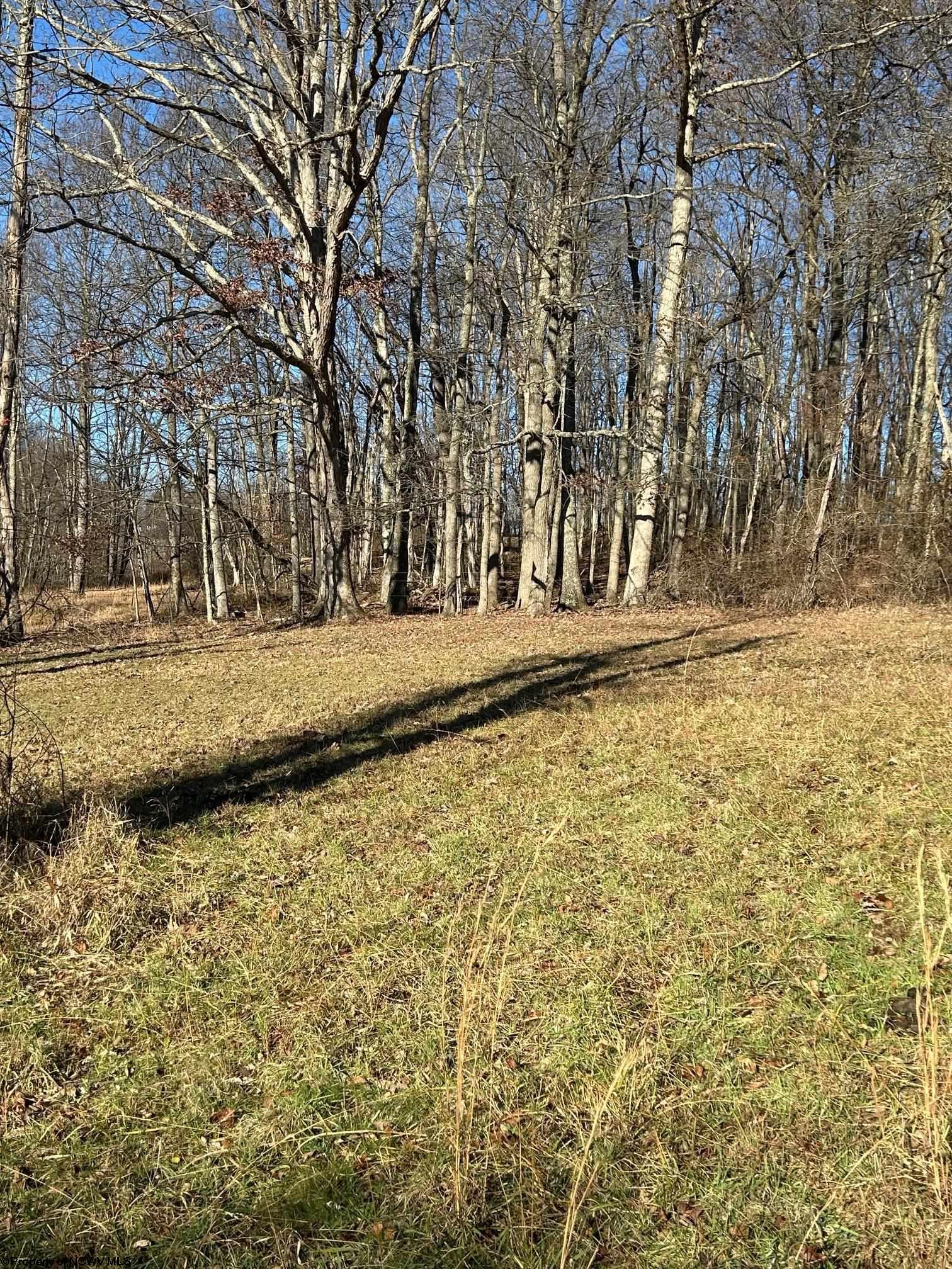 0 Mount Zion Road Fairmont WV 26554
