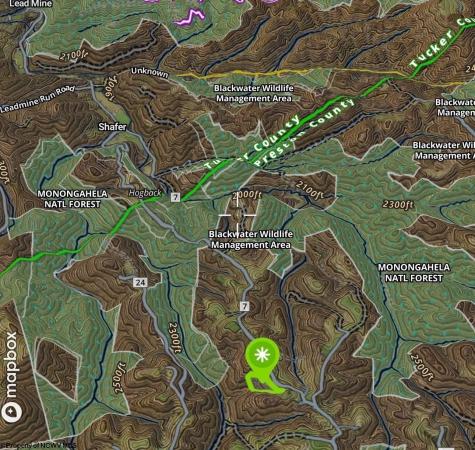 1741 Hog Back Road Eglon WV 26716