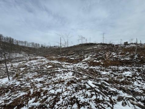 398 Hartley Run Road Le Roy WV 25252