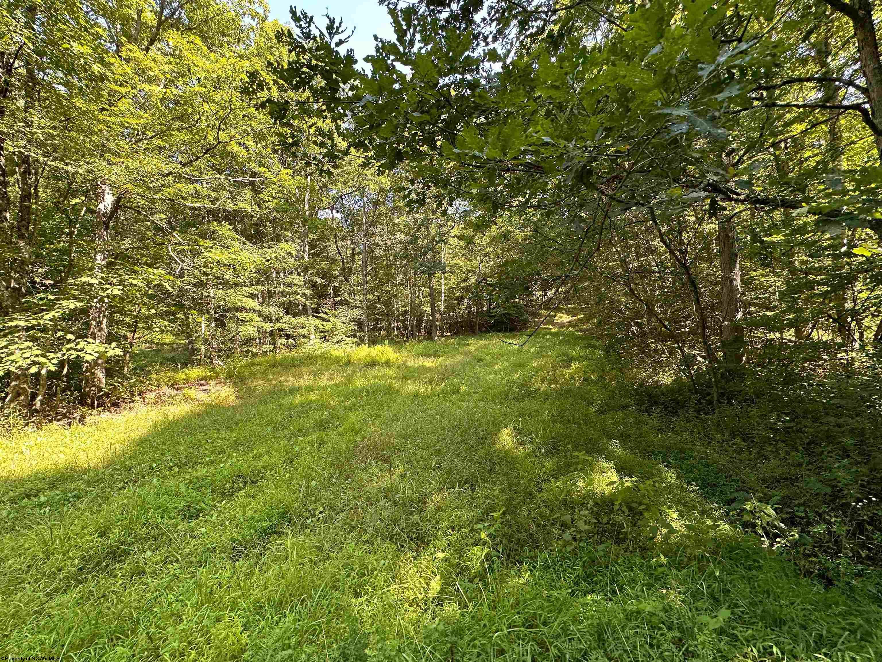 3 Trail View Lane Masontown WV 26542