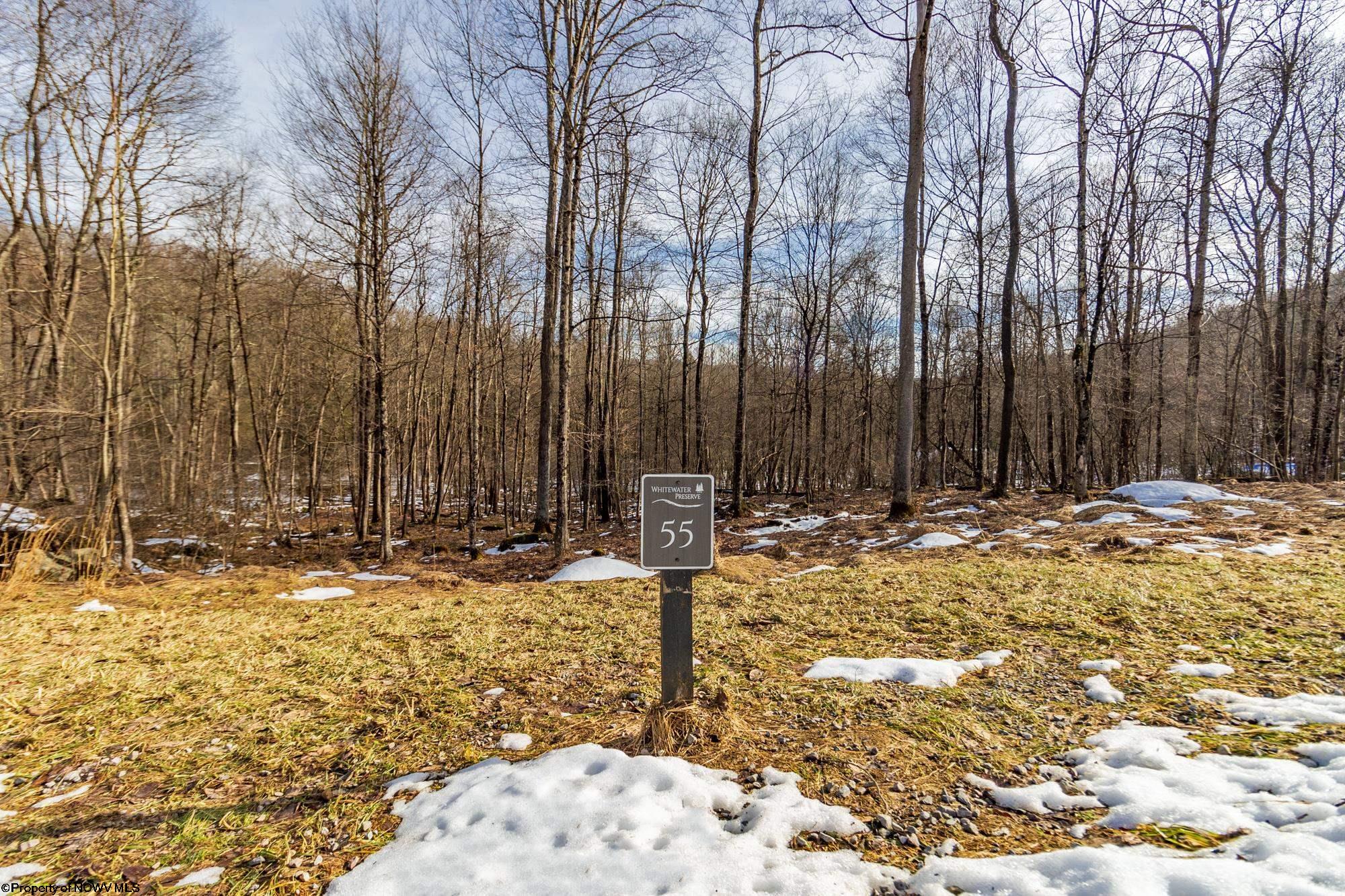 55 Watersound Trace Bruceton Mills WV 26525