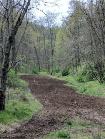 TBD Earl Run Road Metz WV 26585