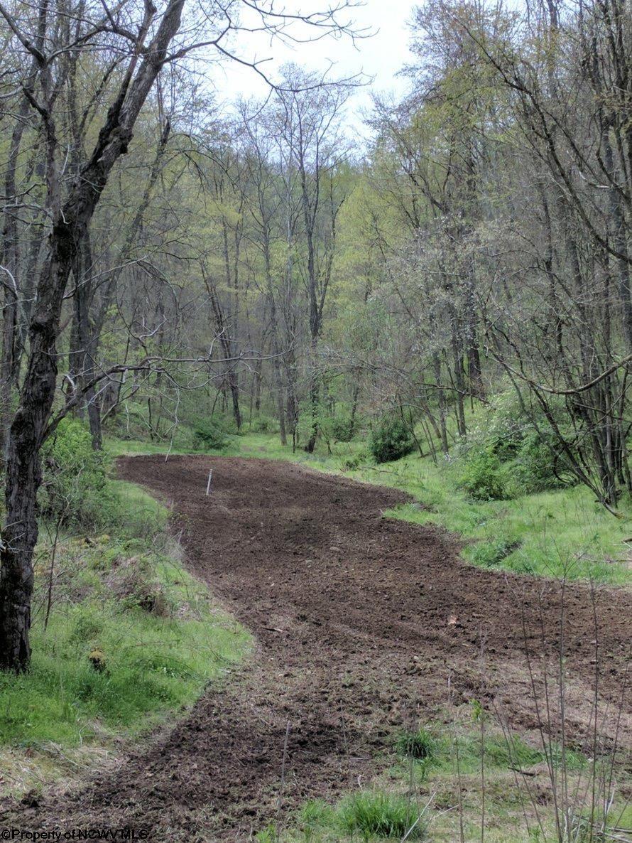 0 Earl Run Road Metz WV 26585