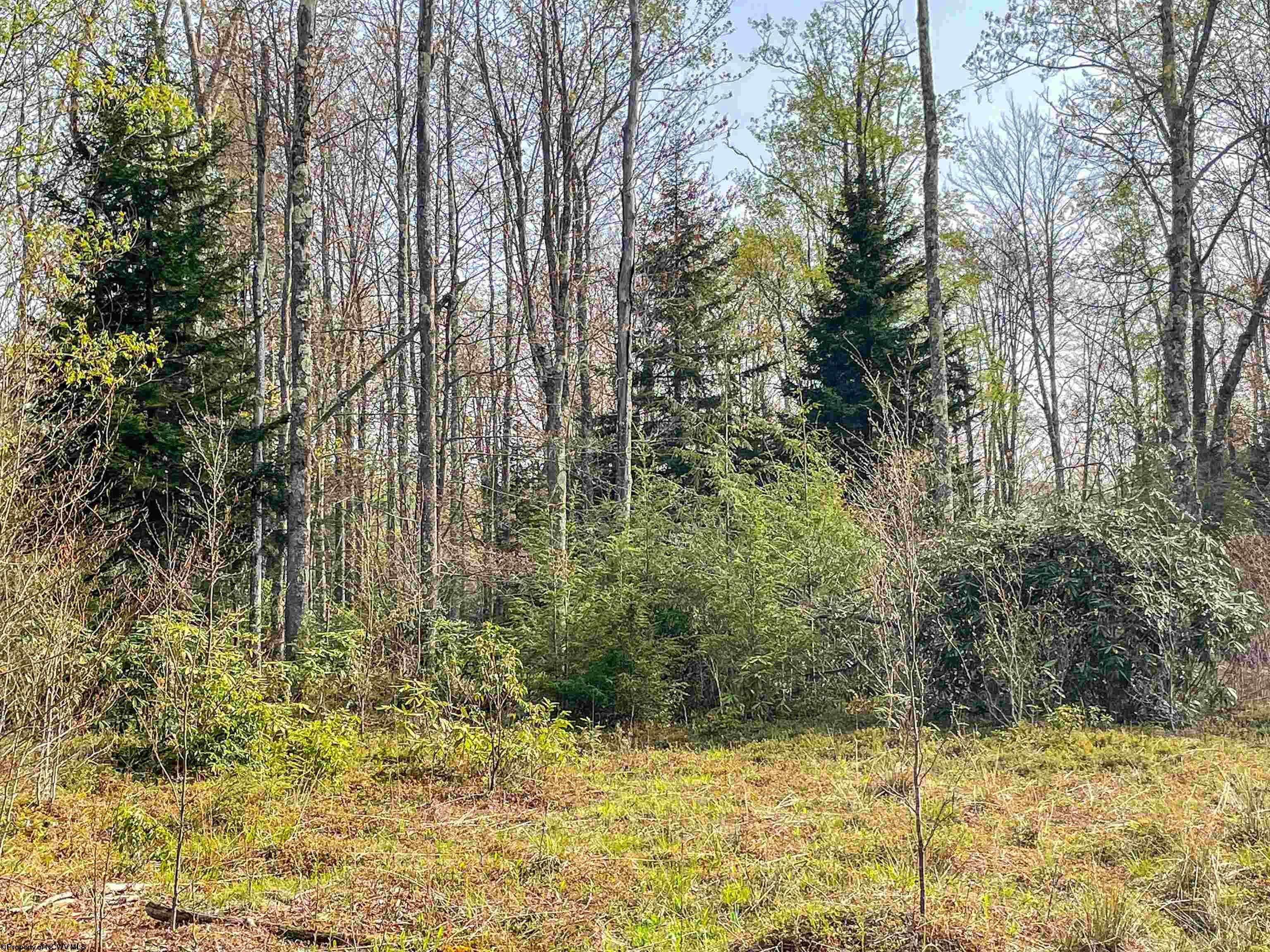 Railey Realty Deep Creek Lake Real Estate