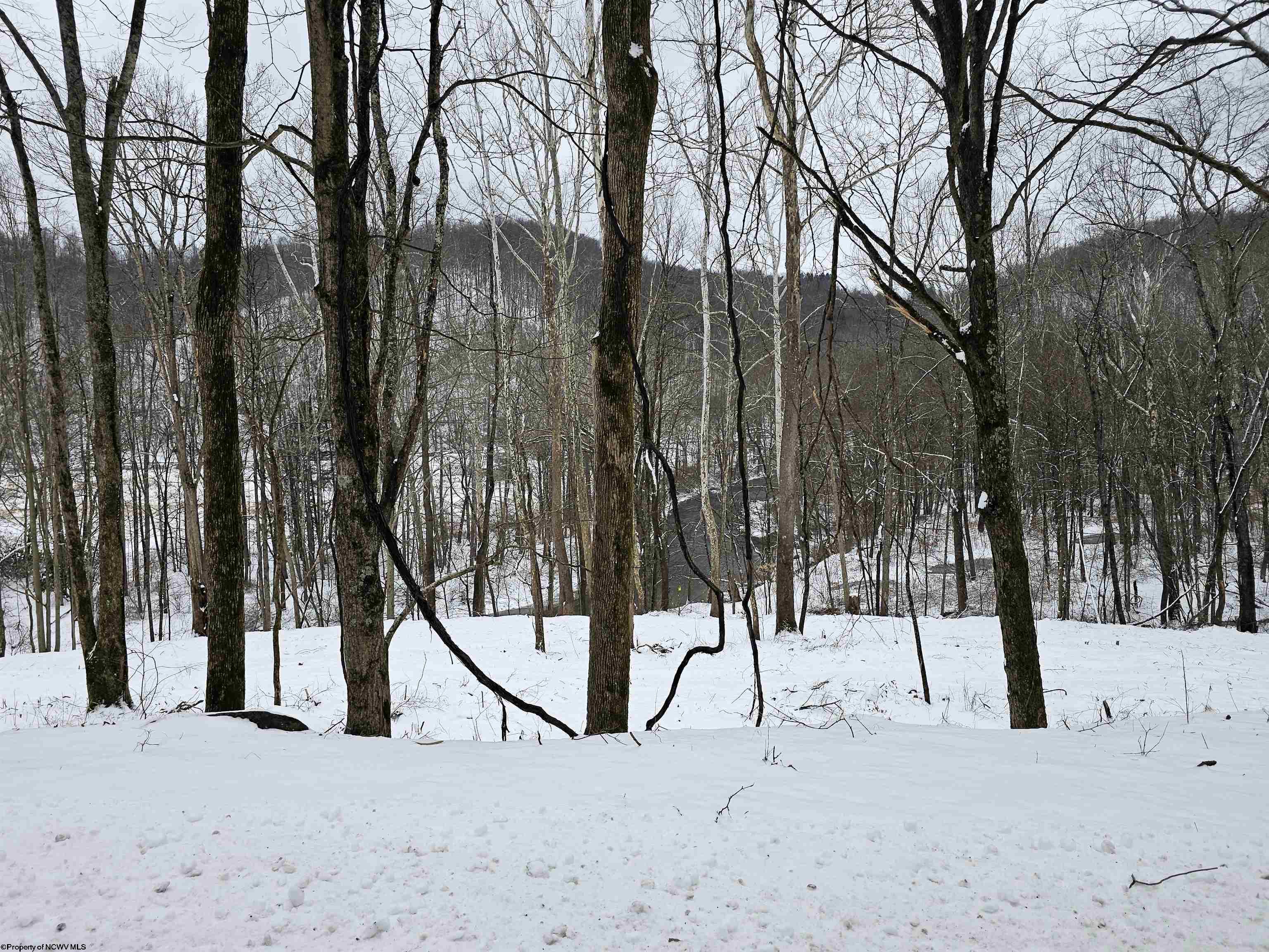 0 Irontown Road Independence WV 26374