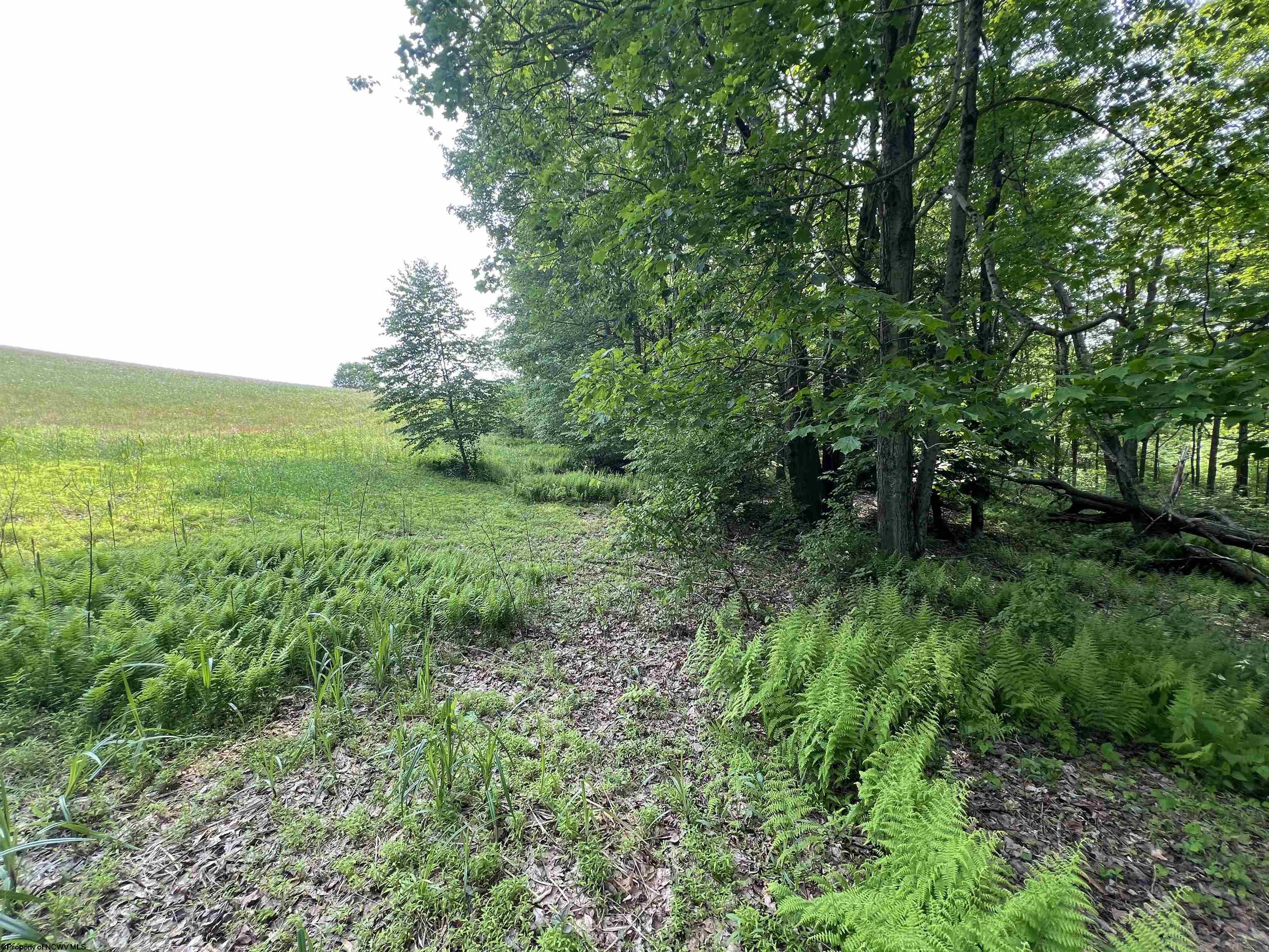 0 Compressor Station Road Bruceton Mills WV 26525
