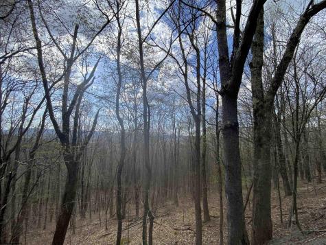 31 Mountainside Road Davis WV 26260