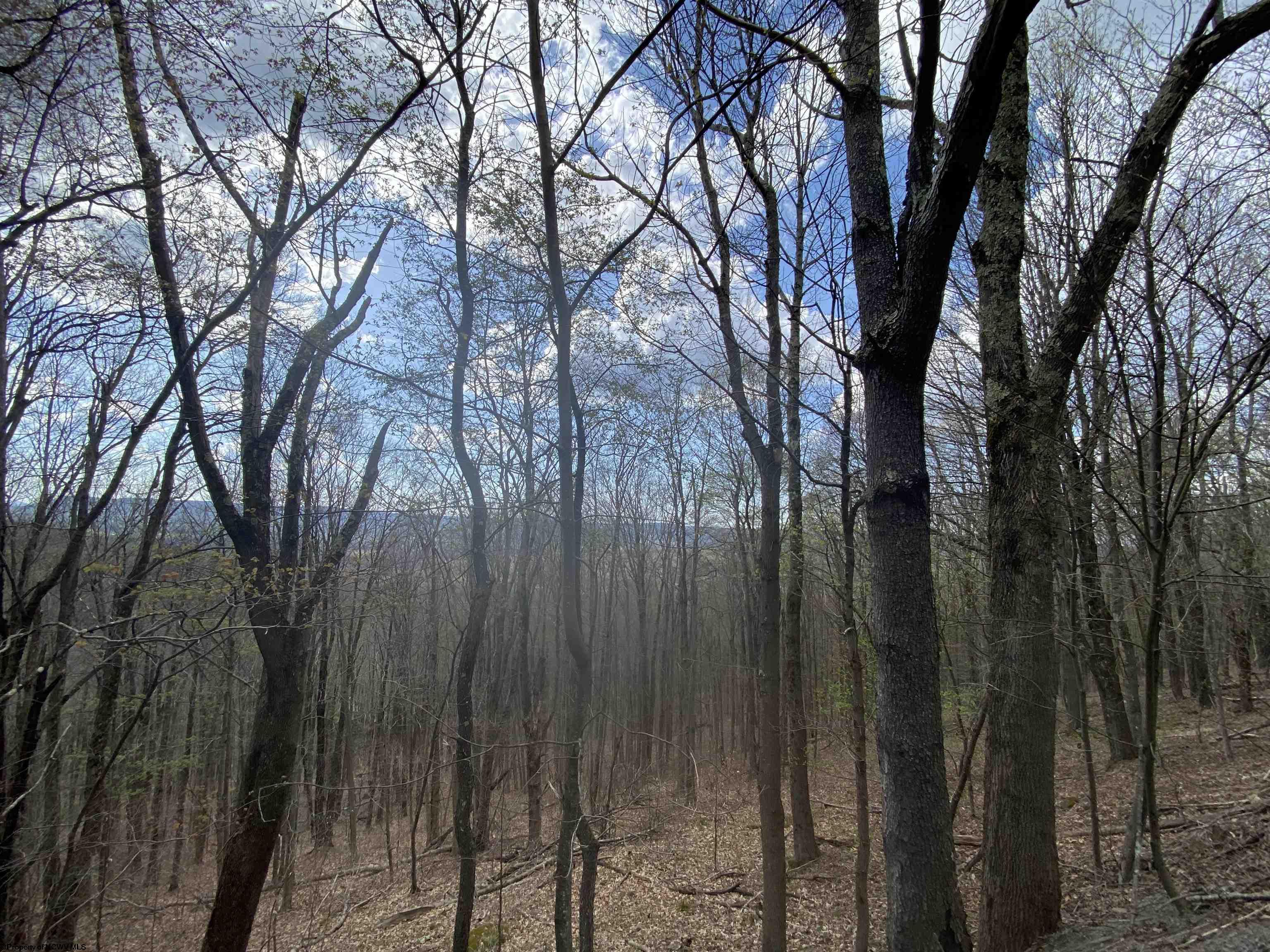 31 Mountainside Road Davis WV 26260