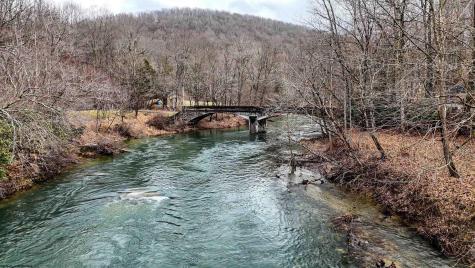 0 Leaf View Lane Ellamore WV 26267