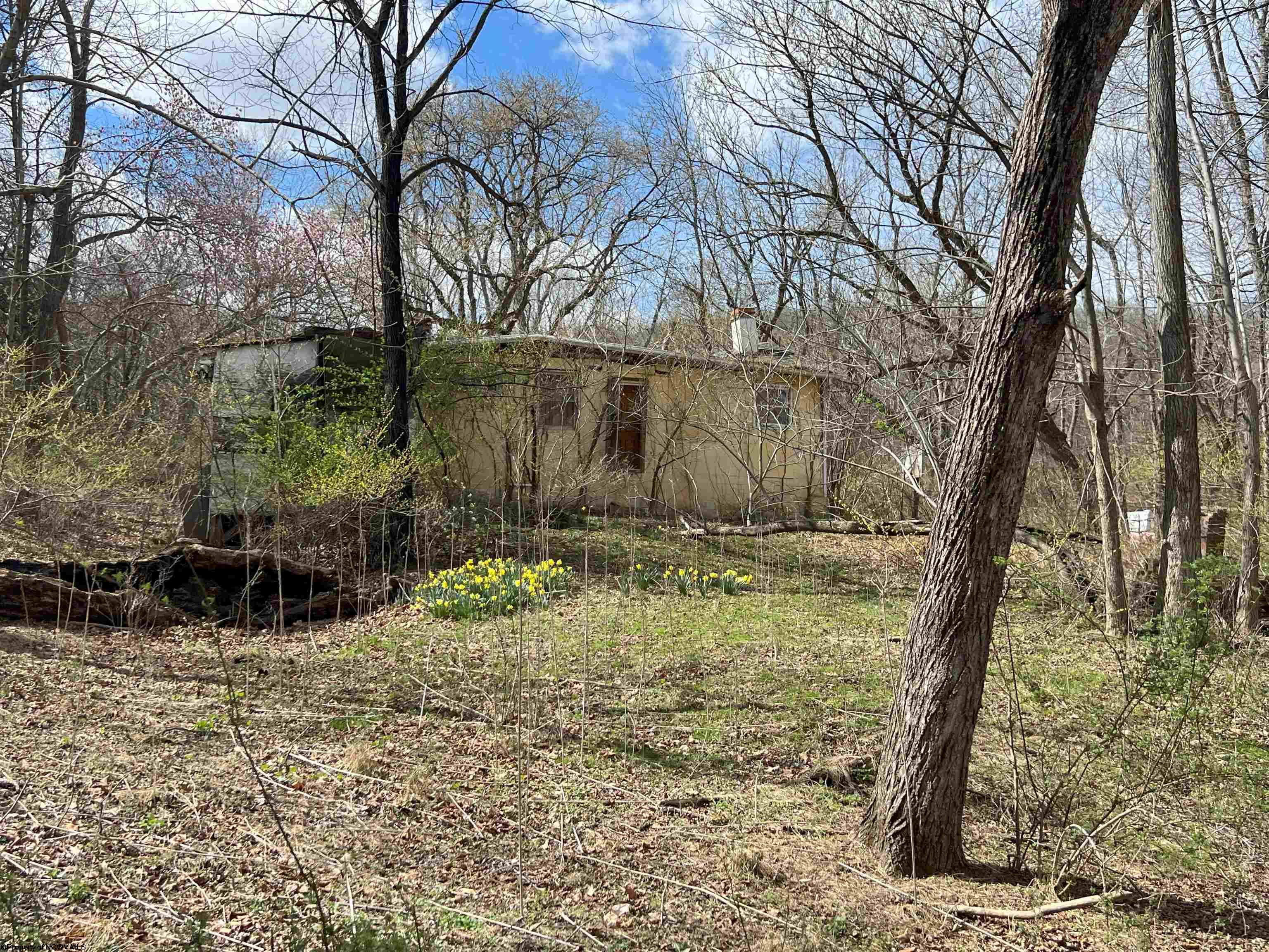 0 Walnut Drive Green Spring WV 26722