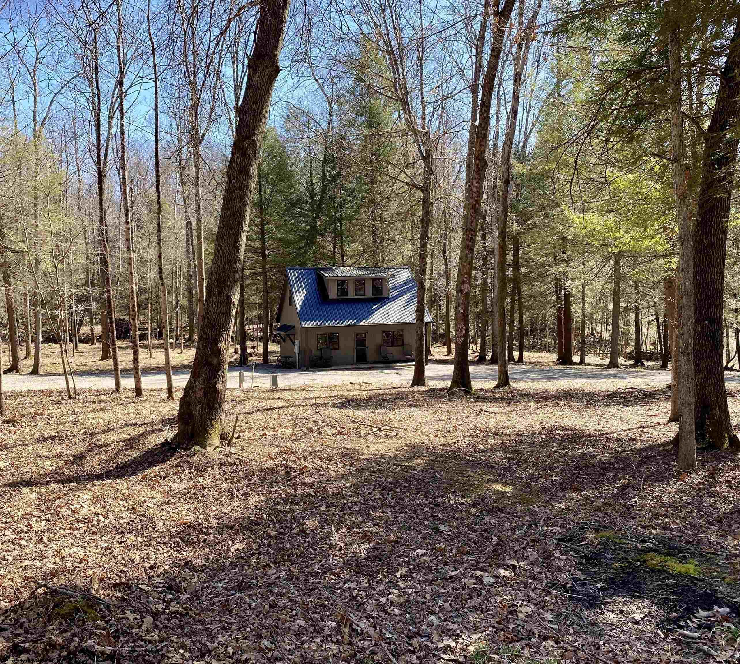 53 Riverstone Landing Bruceton Mills WV 26525