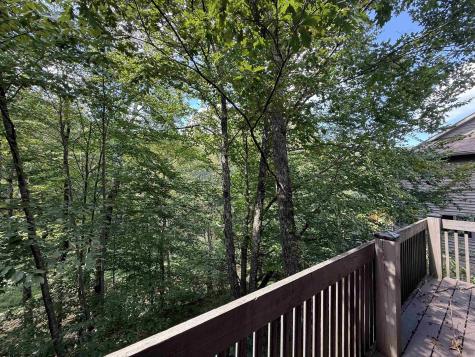 209 Aaron Smith Drive Bridgeport WV 26330