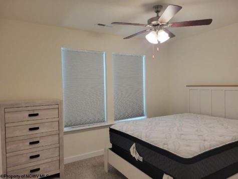 39 Dover Court Bridgeport WV 26330