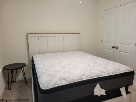 39 Dover Court Bridgeport WV 26330