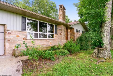 2054 Little Sandy Road Bruceton Mills WV 26525