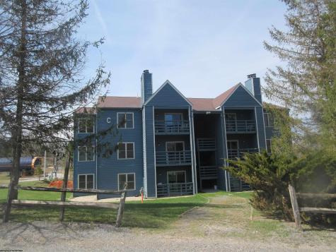 29 Herzwoods Road Davis WV 26260