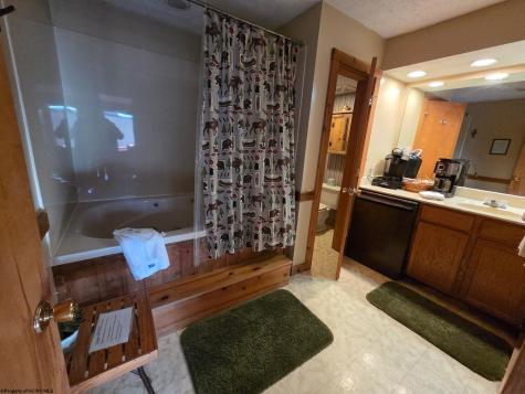 16 Grizzly Way Davis WV 26260-0000