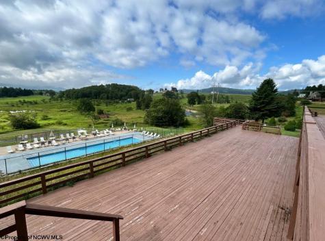 16 Grizzly Way Davis WV 26260-0000